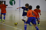 Foto: 039 - Link &ouml;ffnet Foto in Originalgr&ouml;sse