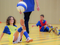 Foto: 018 - Link &ouml;ffnet Foto in Originalgr&ouml;sse