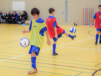 Foto: 024 - Link &ouml;ffnet Foto in Originalgr&ouml;sse